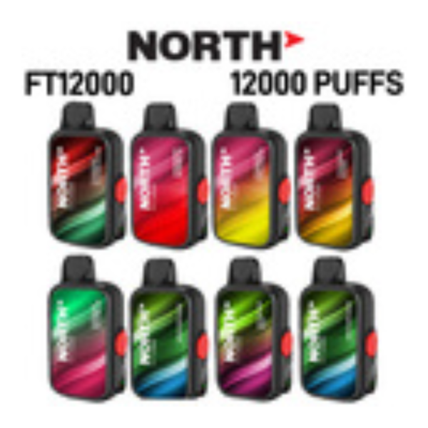 NORTH FT12000 DISPOSABLE VAPE - 12000 PUFFS - Image 2